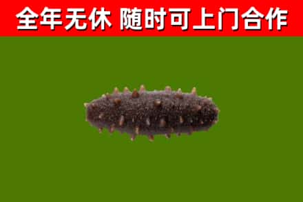 路北区烟酒回收干海参.jpg